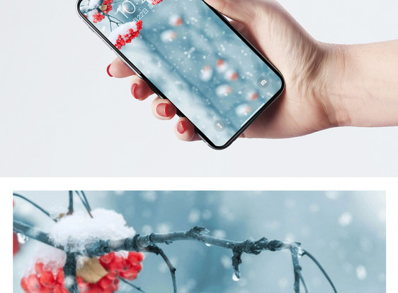 雪花覆盖的花手机壁纸图片