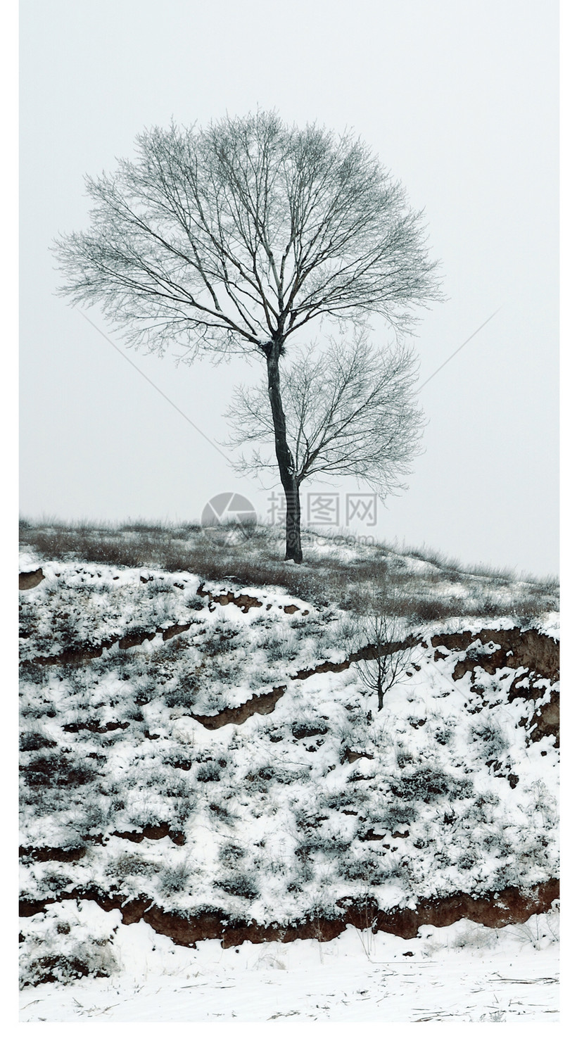 雾凇雪景手机壁纸模板素材 正版图片 摄图网