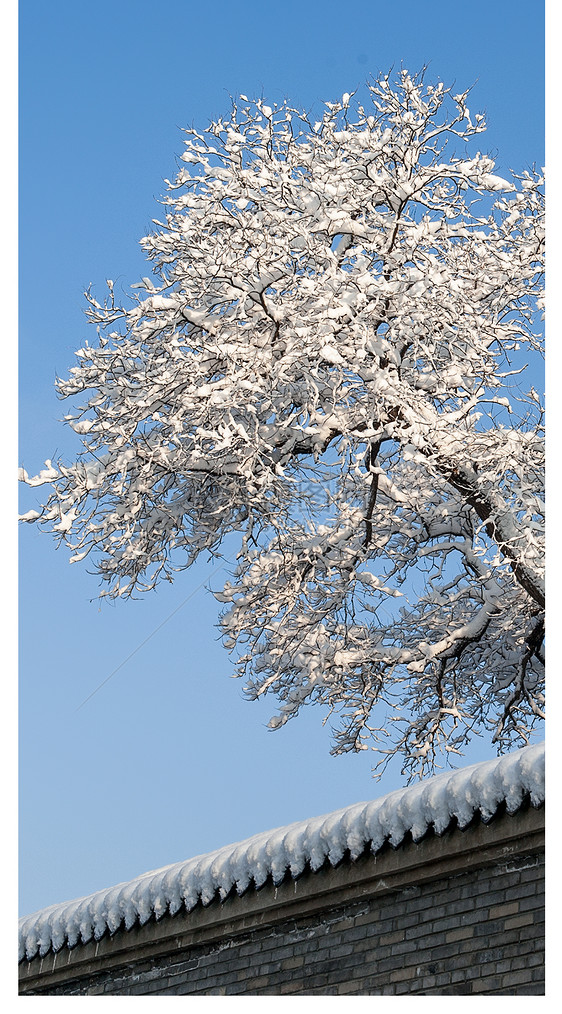 冬日雪景手机壁纸图片