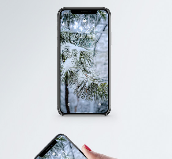挂满积雪的松枝手机壁纸图片