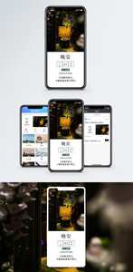 晚安手机海报配图图片
