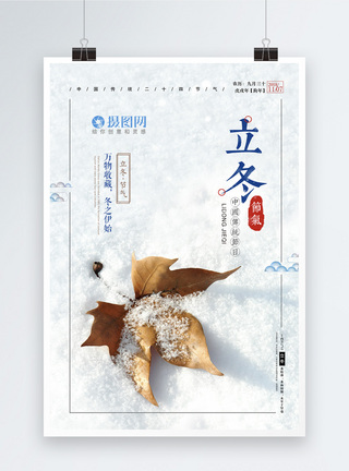 立冬包饺子24节气立冬海报模板