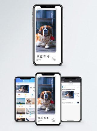 宠物阳光早安你好手机海报配图模板