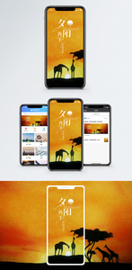 夕阳手机海报配图图片