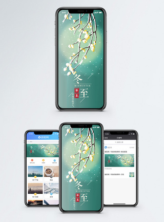 植物雪冬至节气手机海报配图模板