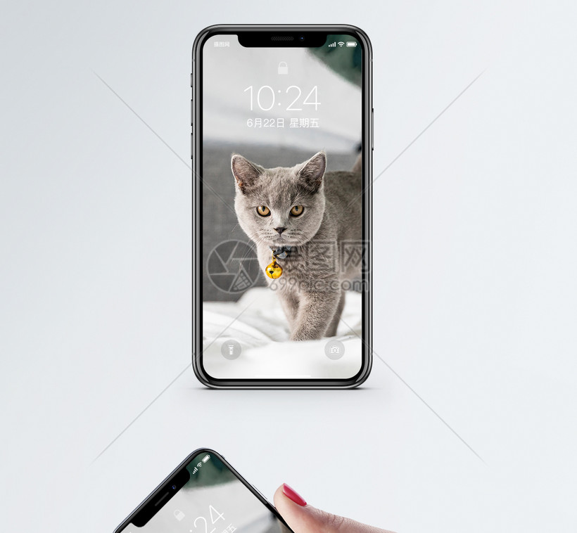 猫咪手机壁纸模板素材 正版图片 摄图网