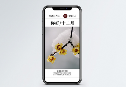十二月花季图片 十二月花季图片素材大全 摄图网 十二月花季图片 十二月花季图片素材大全 摄图网