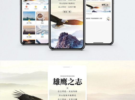 雄鹰之志手机海报配图图片