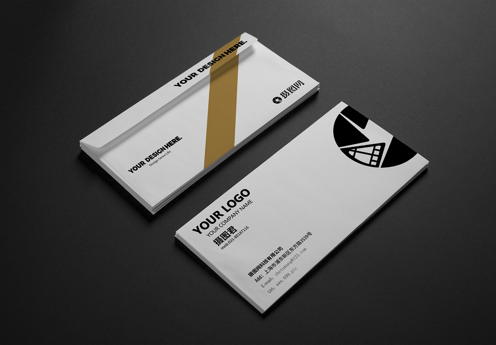 黑白地球黑白时尚简约商务名片vi样机模板