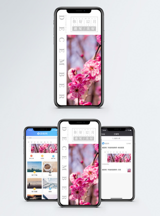 寒梅你好12月手机海报配图模板