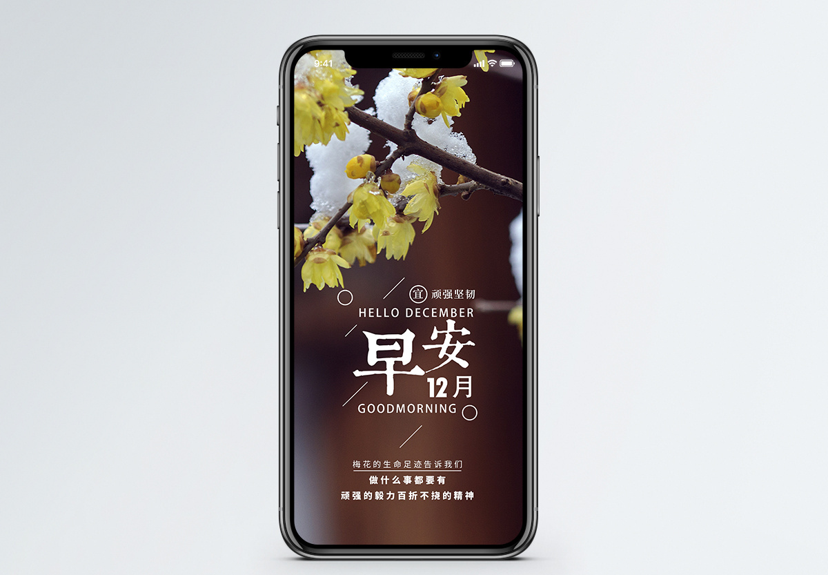 十二月梅花图片 十二月梅花素材 十二月梅花高清图片 摄图网图片下载