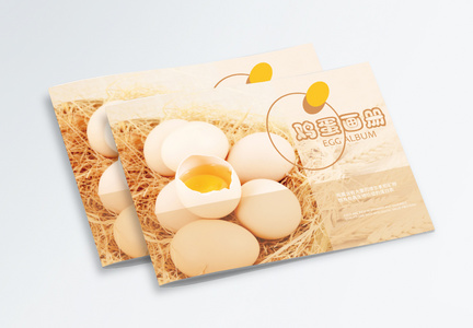 黄色简约鸡蛋画册封面图片