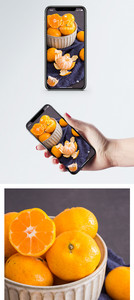 新鲜蜜桔手机壁纸图片