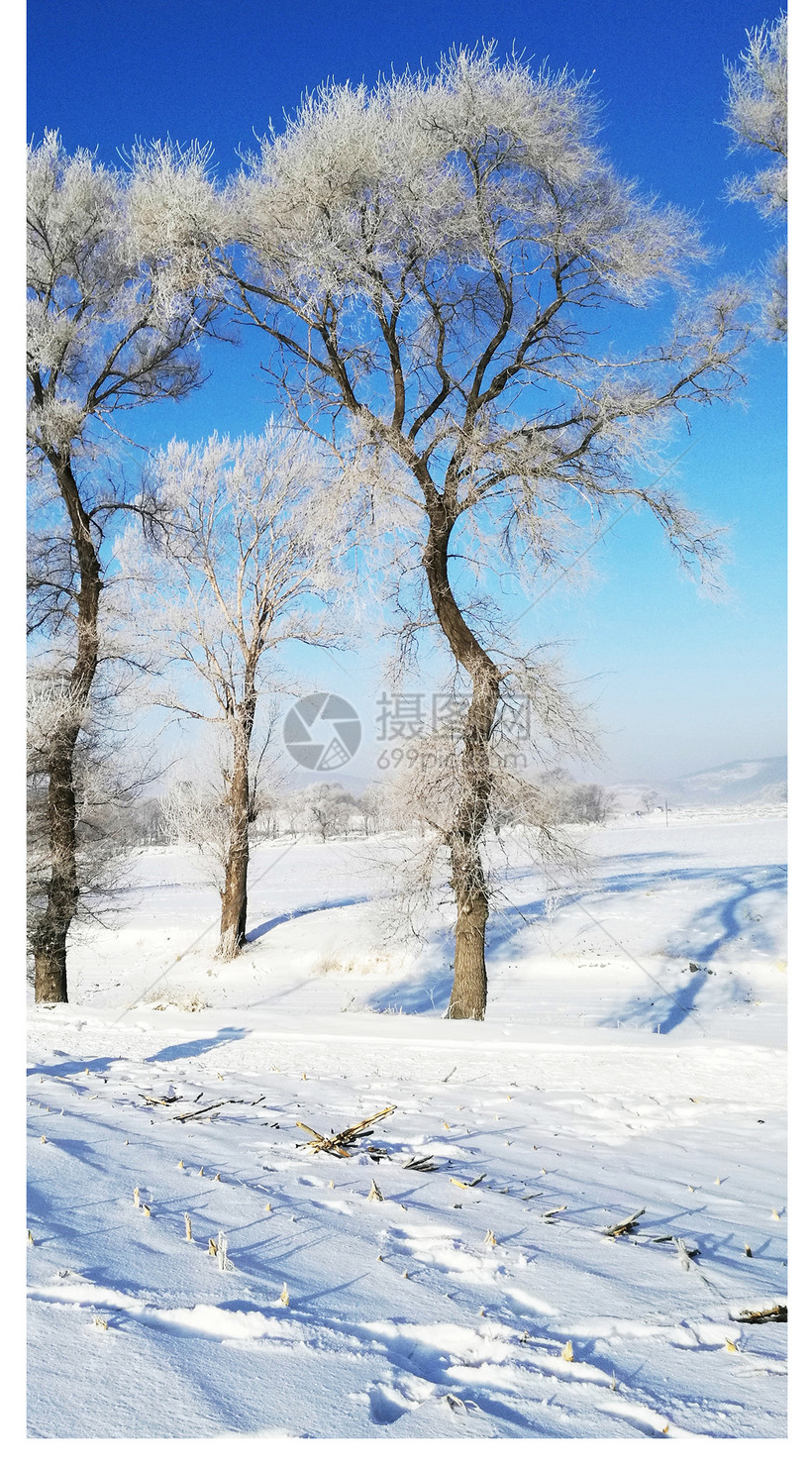 雾凇岛雪景手机壁纸模板素材 正版图片 摄图网