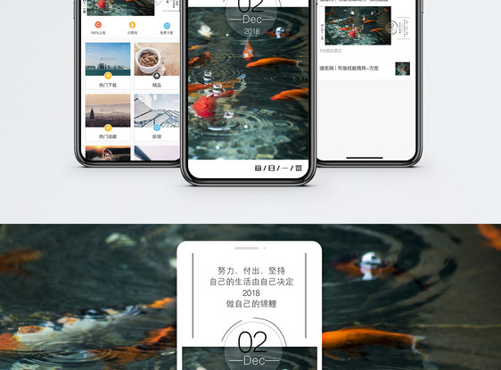 励志锦鲤手机海报配图图片