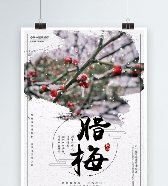 中国风腊梅海报图片
