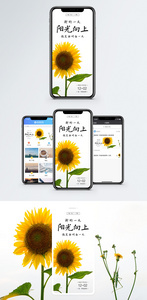 阳光向上手机海报配图图片
