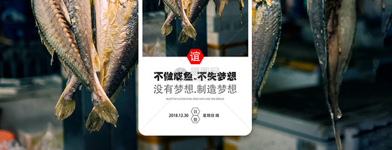 咸鱼手机海报配图图片