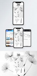 梦想蒲公英手机海报配图图片