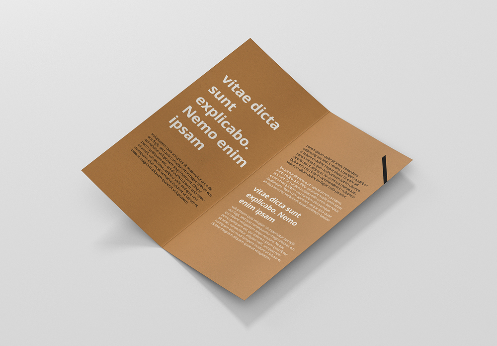 页眉也家谱二折页样机模板