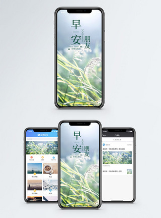 小清新草地早安朋友手机海报配图模板