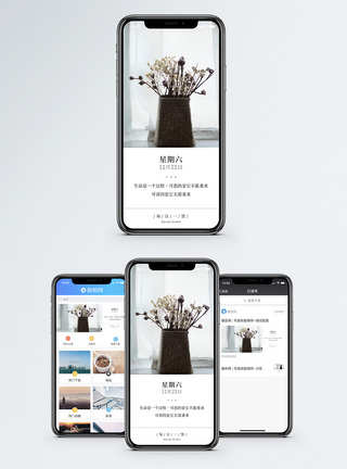 小清新干花每日一签手机海报配图模板