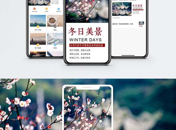 冬日梅花手机海报配图图片