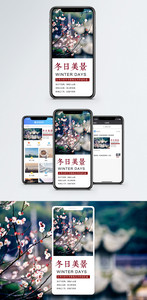 冬日梅花手机海报配图图片