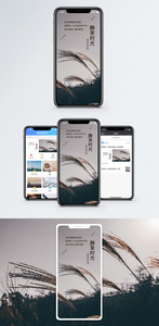 静享时光手机海报配图图片