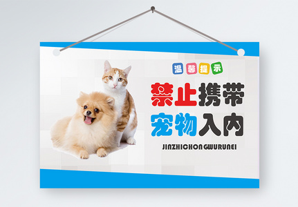 宠物广告图片 宠物广告素材 宠物广告高清图片 摄图网图片下载