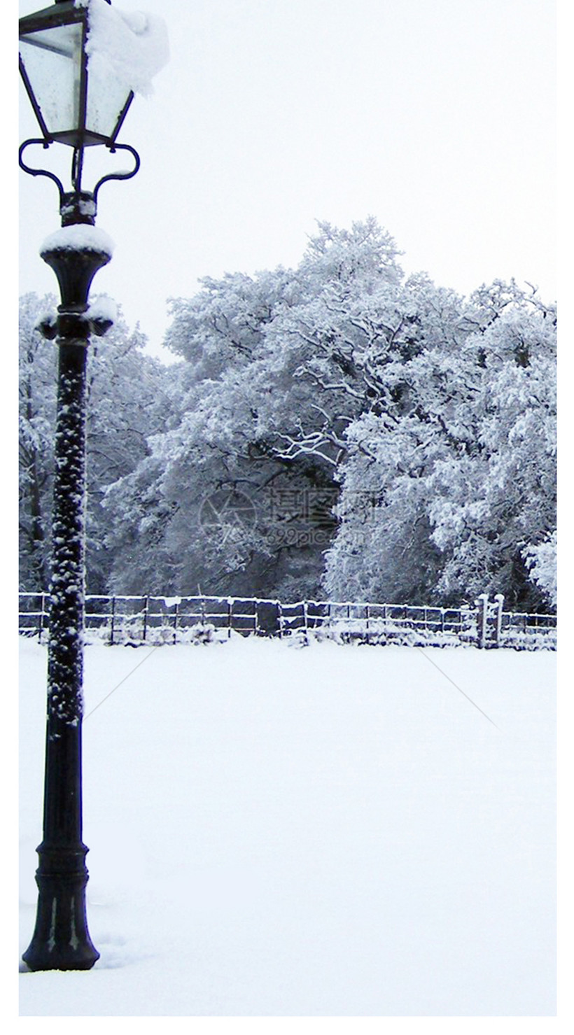 冬季雪景手机壁纸模板素材 正版图片 摄图网