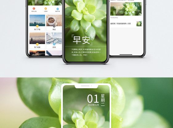 早安手机海报配图图片