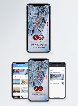 雪森林大寒手机海报配图模板