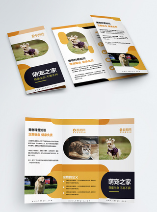 简约几何宠物医院宠物商店宣传介绍三折页图片