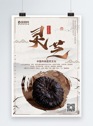 灵芝孢子粉中国风灵芝养生海报模板