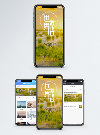 湿地草地世界湿地日手机海报配图模板