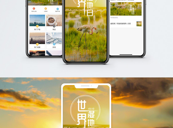 世界湿地日手机海报配图图片