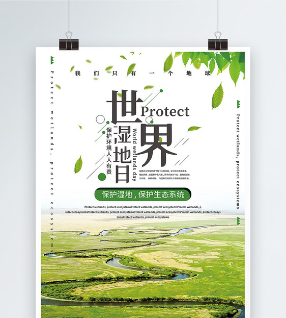 绿色清新世界湿地日海报图片