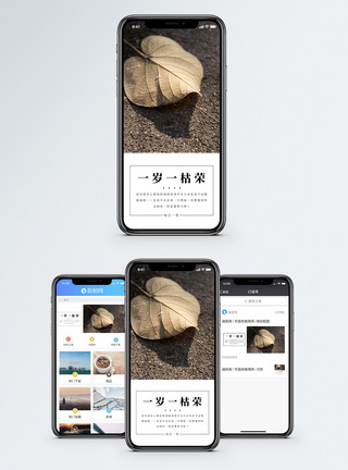 一岁一枯荣手机海报配图图片