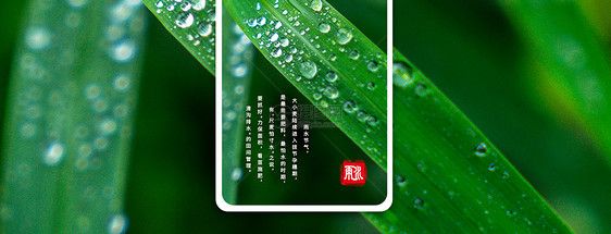 二十四节气之雨水手机海报配图图片