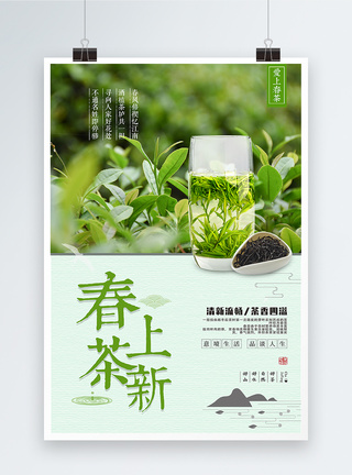 芒果绿茶清新春茶上新茶叶促销活动海报模板
