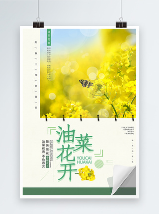 简约油菜花开赏花海报图片