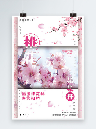 粉色小清新桃花朵朵开海报图片