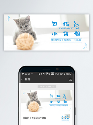 ps素材图猫逗猫公众号封面配图模板