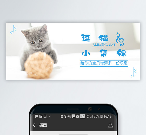 逗猫公众号封面配图图片