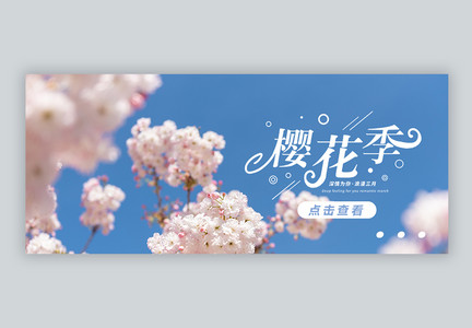 樱花季节公众号封面配图图片