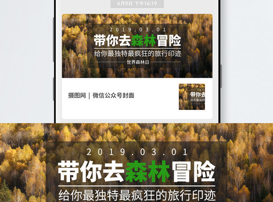 世界森林日公众号封面配图图片