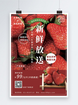 女孩摘草莓新鲜水果草莓海报模板