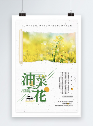 清新简约油菜花春游海报图片