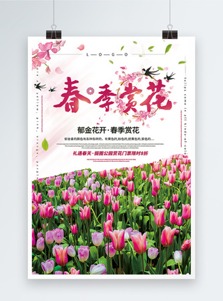 紫色郁金香简洁大气春季赏花促销海报模板